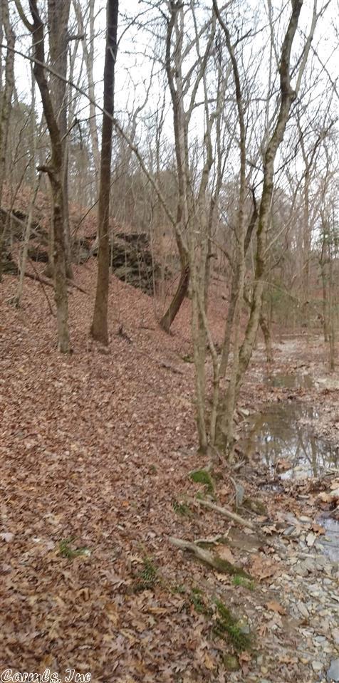 79 Hilltop Dr, Sims, AR 71969 photo 16