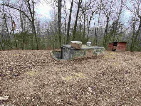 79 Hilltop Dr, Sims, AR 71969 photo 6