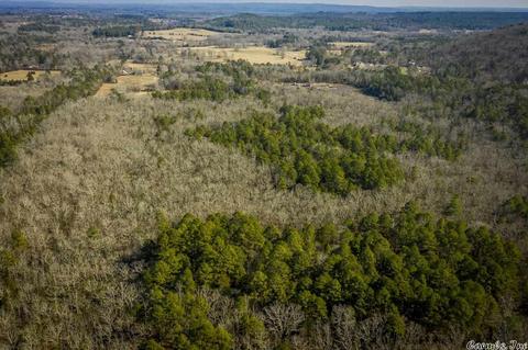 60 Mill Pond Rd, Conway, AR 72034 photo 9