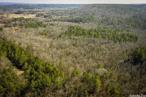 60 Mill Pond Rd, Conway, AR 72034 photo 4