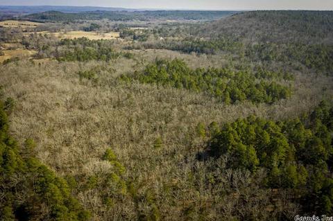 60 Mill Pond Rd, Conway, AR 72034 photo 8