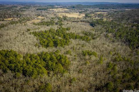 60 Mill Pond Rd, Conway, AR 72034 photo 10
