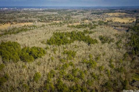 60 Mill Pond Rd, Conway, AR 72034 photo 11