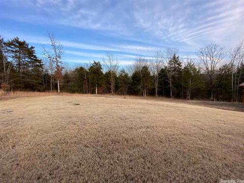 47 Trina Loop, Greenbrier, AR 72058 photo 21