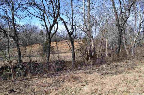 380 Pleasant View Rd, Marshall, AR 72650 photo 28