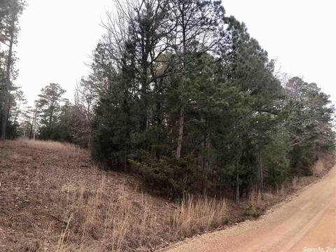 Elm Drive, De Queen, AR 71832 photo 3