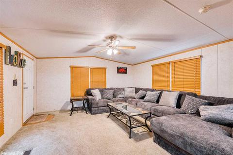 680 Mill Crk, Higden, AR 72067 photo 8