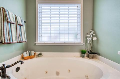 3155 Robert Ott Cir, Conway, AR 72034 photo 21