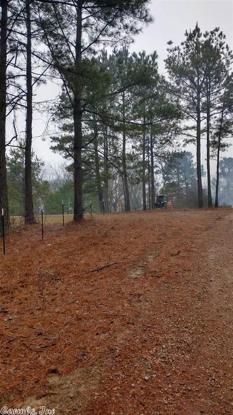 230 Walker Rd, Amity, AR 71921 photo 25