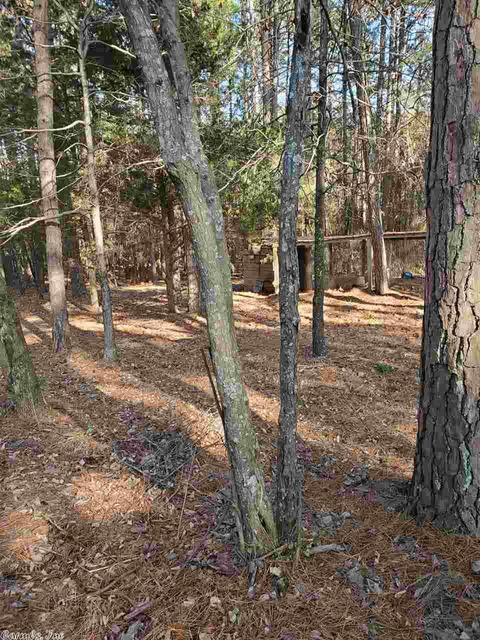 909 Diamond Bluff Rd, Quitman, AR 72131 photo 29