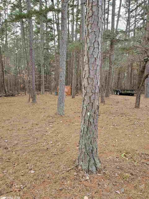 909 Diamond Bluff Rd, Quitman, AR 72131 photo 32