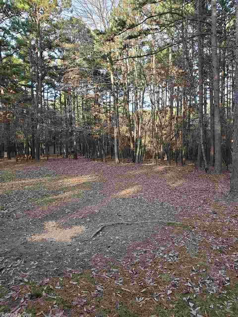 909 Diamond Bluff Rd, Quitman, AR 72131 photo 39