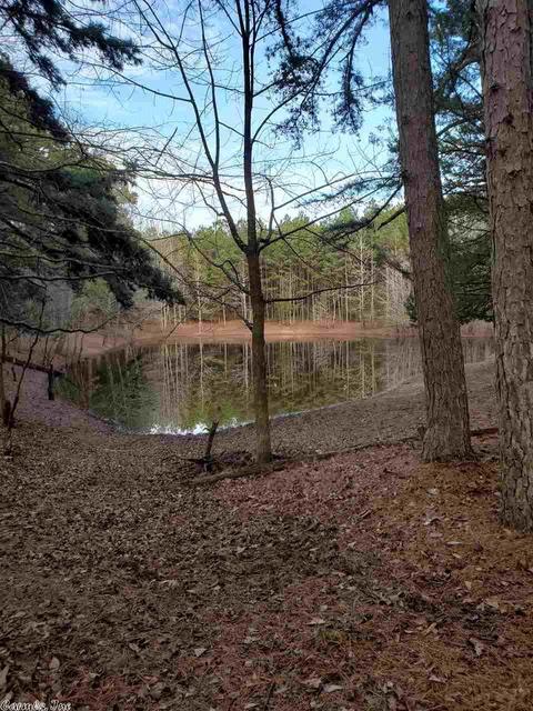 909 Diamond Bluff Rd, Quitman, AR 72131 photo 34