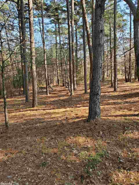 909 Diamond Bluff Rd, Quitman, AR 72131 photo 30