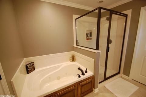 1599 Kruse Loop, Alexander, AR 72002 photo 18