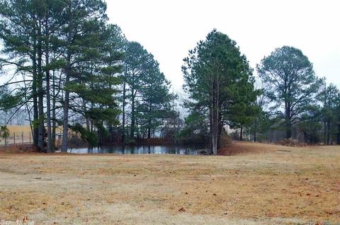 1599 Kruse Loop, Alexander, AR 72002 photo 23