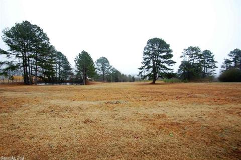 1599 Kruse Loop, Alexander, AR 72002 photo 24