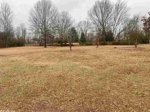 52 Rainey Rd, Greenbrier, AR 72058 photo 5