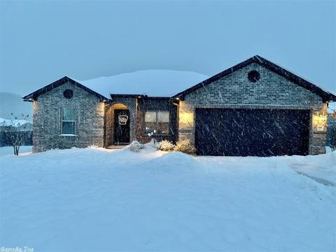 207 Sierra, Austin, AR 72007 photo 29
