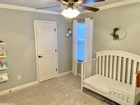 207 Sierra, Austin, AR 72007 photo 13