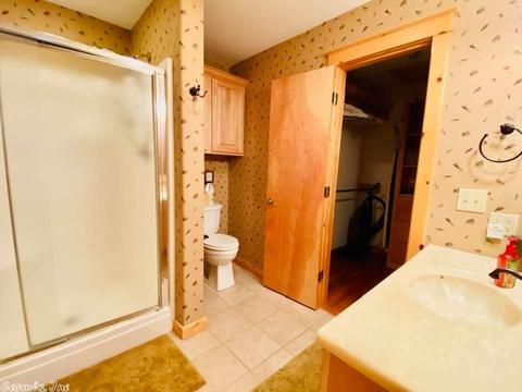 173 S Riverview, Mountain View, AR 72560 photo 16