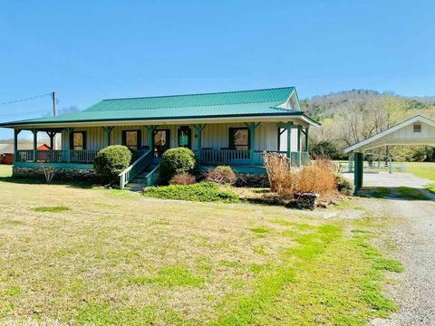 173 S Riverview, Mountain View, AR 72560 photo 1