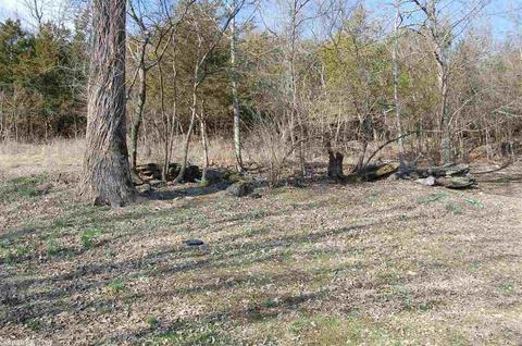 6595 Push Mountain Rd, Norfork, AR 72658 photo 12