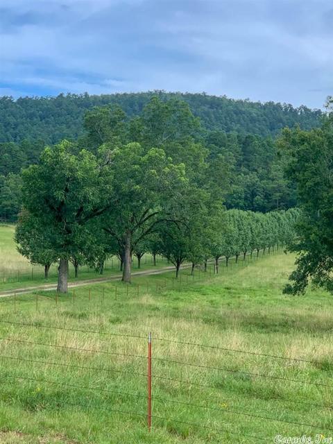 1185 Sims Loop Rd, Sims, AR 71696 photo 1