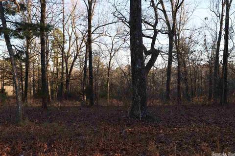 tbd Corinth, Pineville, AR 72566 photo 34