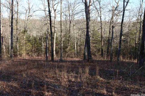 tbd Corinth, Pineville, AR 72566 photo 21
