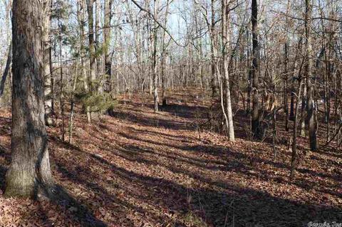tbd Corinth, Pineville, AR 72566 photo 13