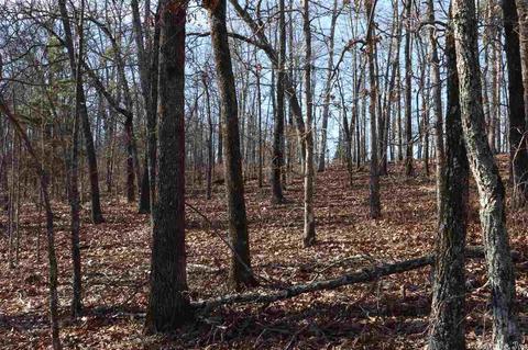 tbd Corinth, Pineville, AR 72566 photo 10