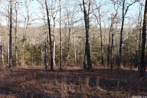 tbd Corinth, Pineville, AR 72566 photo 22