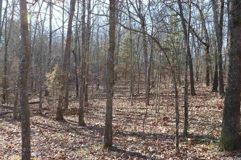 tbd Corinth, Pineville, AR 72566 photo 11