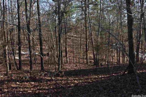 tbd Corinth, Pineville, AR 72566 photo 14