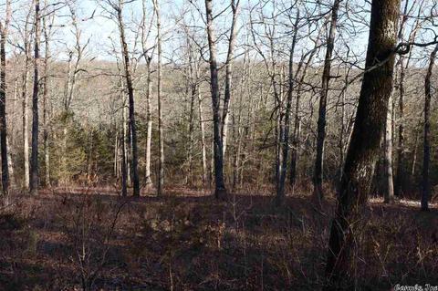 tbd Corinth, Pineville, AR 72566 photo 19