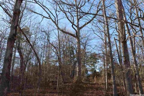tbd Corinth, Pineville, AR 72566 photo 6
