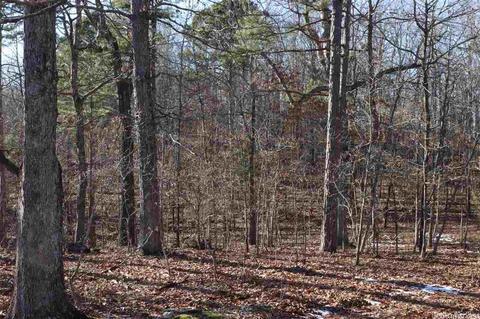 tbd Corinth, Pineville, AR 72566 photo 15
