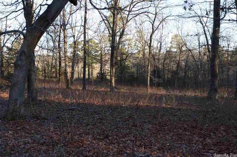 tbd Corinth, Pineville, AR 72566 photo 35