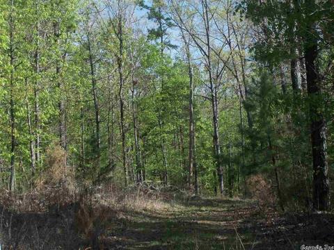 44 Pine Trl, Higden, AR 72067 photo 2