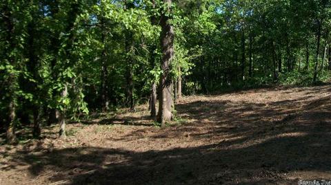 44 Pine Trl, Higden, AR 72067 photo 6