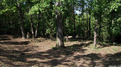 44 Pine Trl, Higden, AR 72067 photo 4