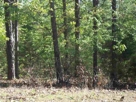 44 Pine Trl, Higden, AR 72067 photo 3