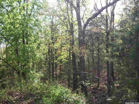 44 Pine Trl, Higden, AR 72067 photo 5