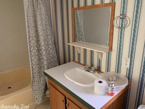 25 Gerik Ln, Conway, AR 72032 photo 5