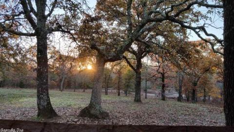 236 Tower Rd, Conway, AR 72032 photo 2