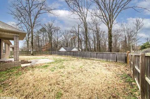 201 Jackson Park Cv, Cabot, AR 72023 photo 31