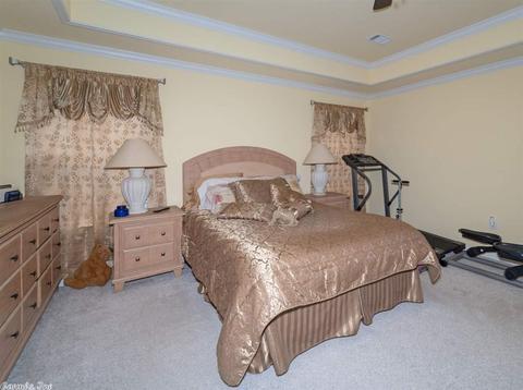 552 Joseph Dr, Alexander, AR 72002 photo 29