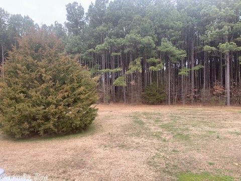820 Besancon Rd, Cabot, AR 72023 photo 16