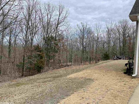 195 Acklin Gap Rd, Conway, AR 72032 photo 29